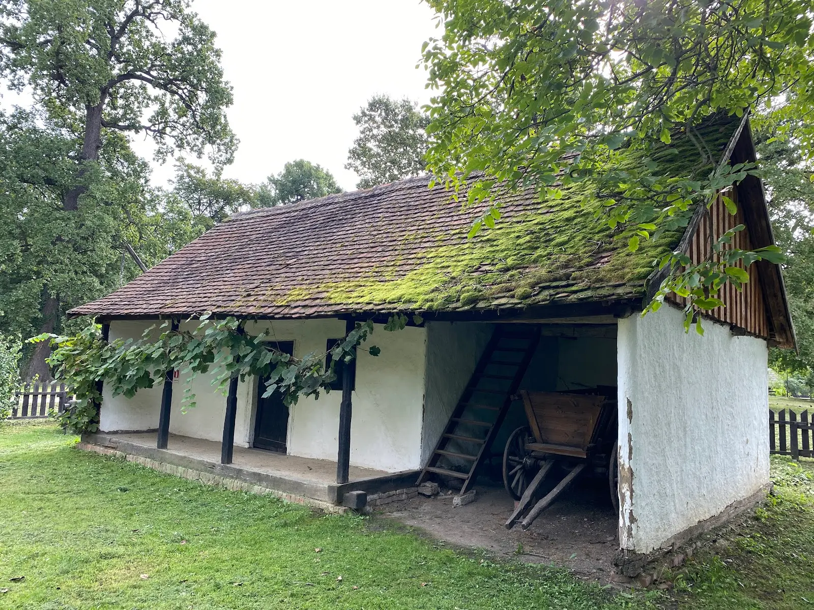 Muzeul Satului Bănățean 3