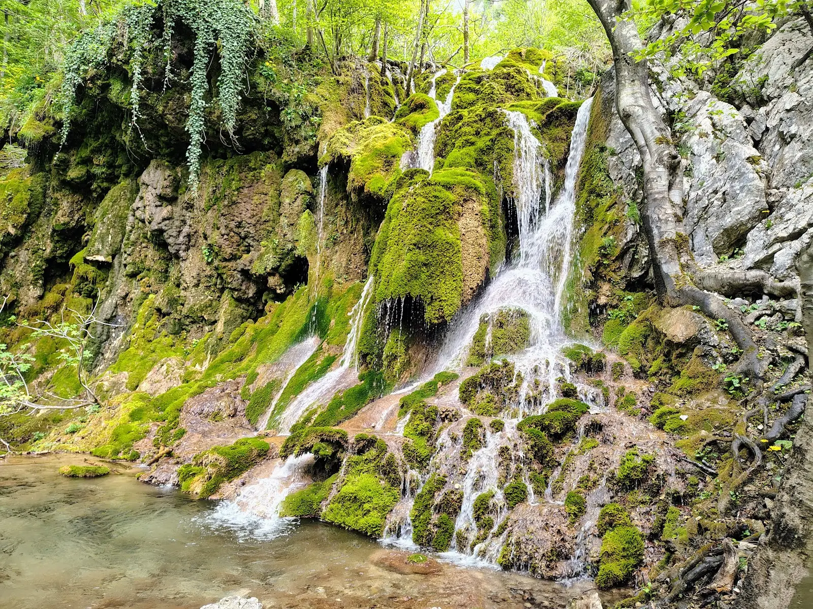 Ochiul Beiului (Cascada Beușnița)