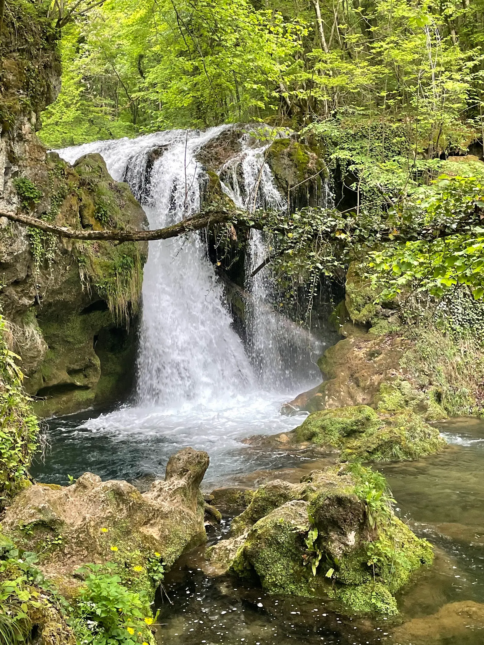 Ochiul Beiului (Cascada Beușnița) 3