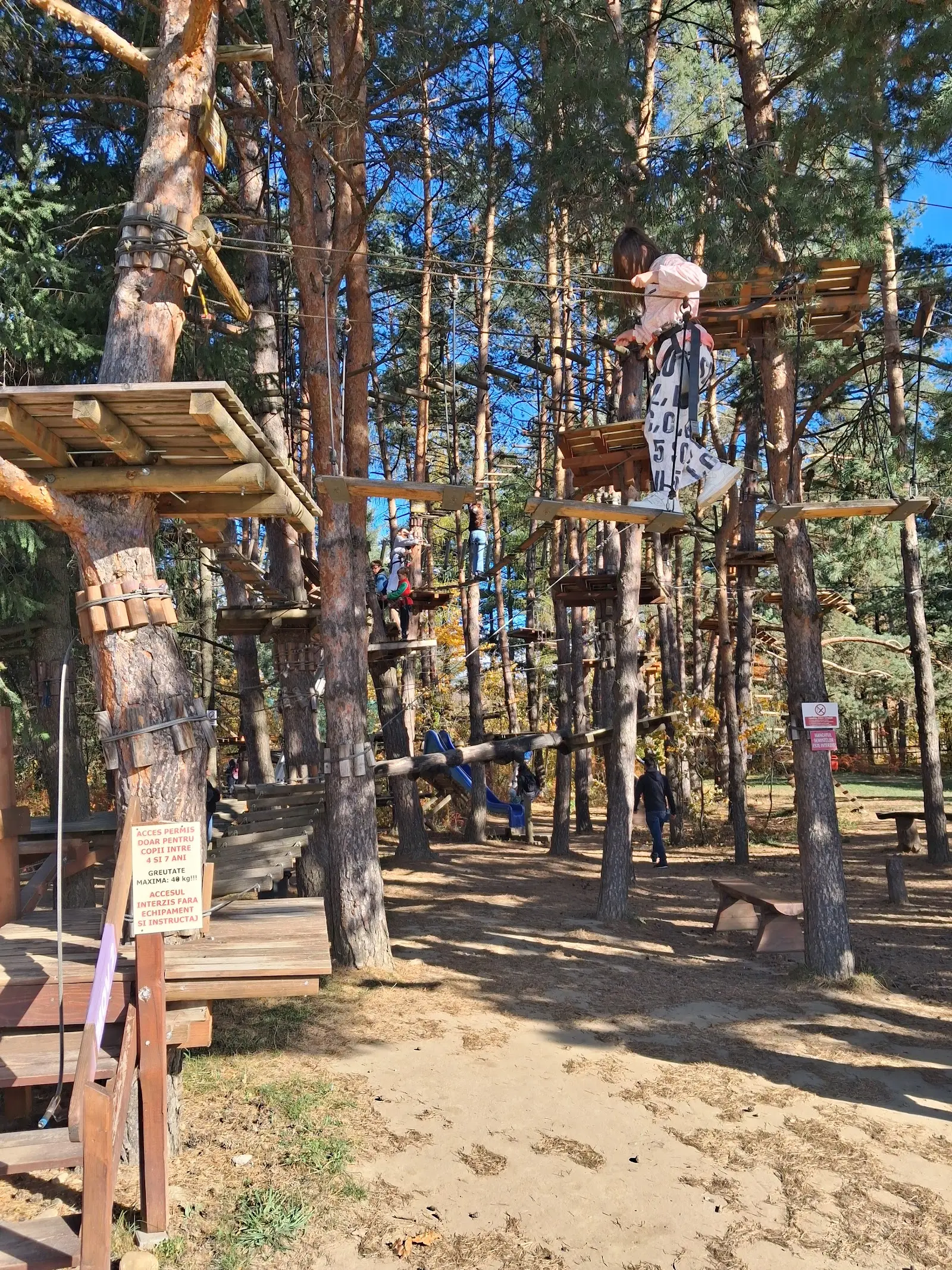 Parcul Dendrologic Gura Humorului