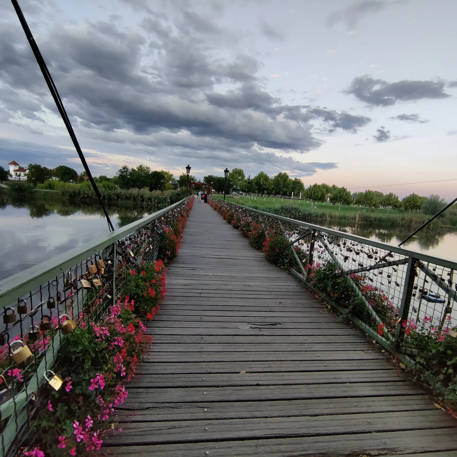 Parcul Natural Comana 3