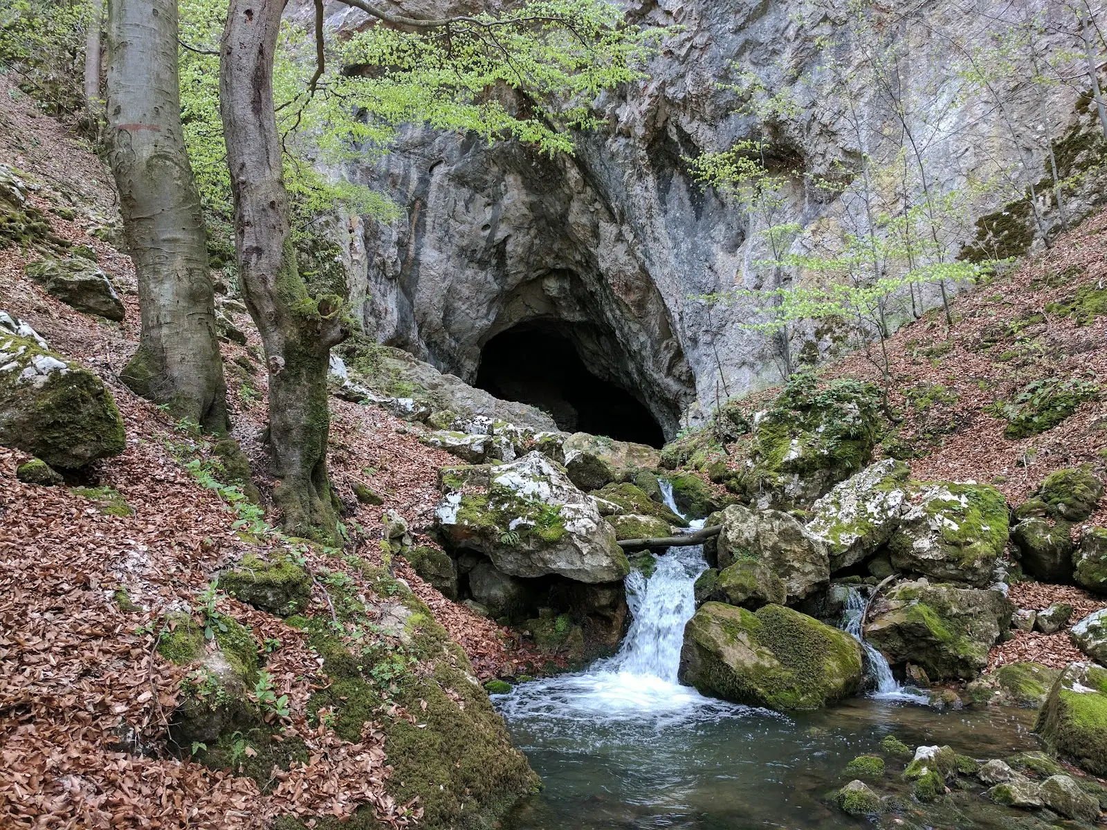 Parcul Natural Grădiștea Muncelului-Cioclovina 2