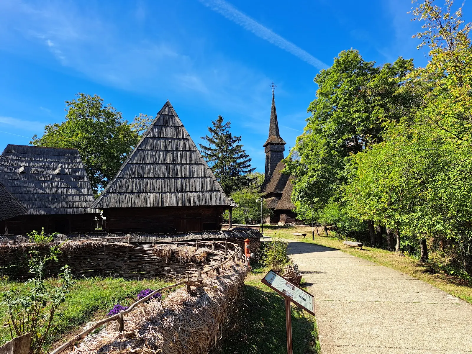 Parcul Regele Mihai I (Herăstrău) 3