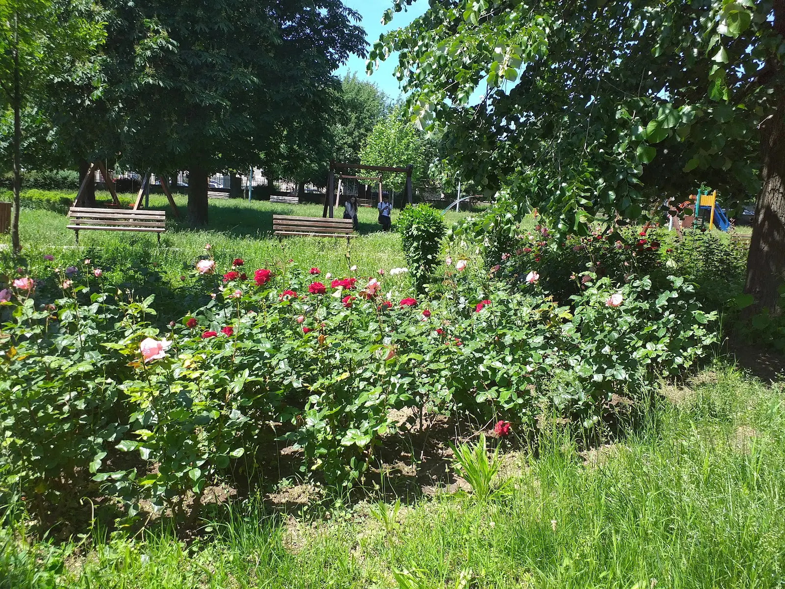 Parcul Rizer Galați 2
