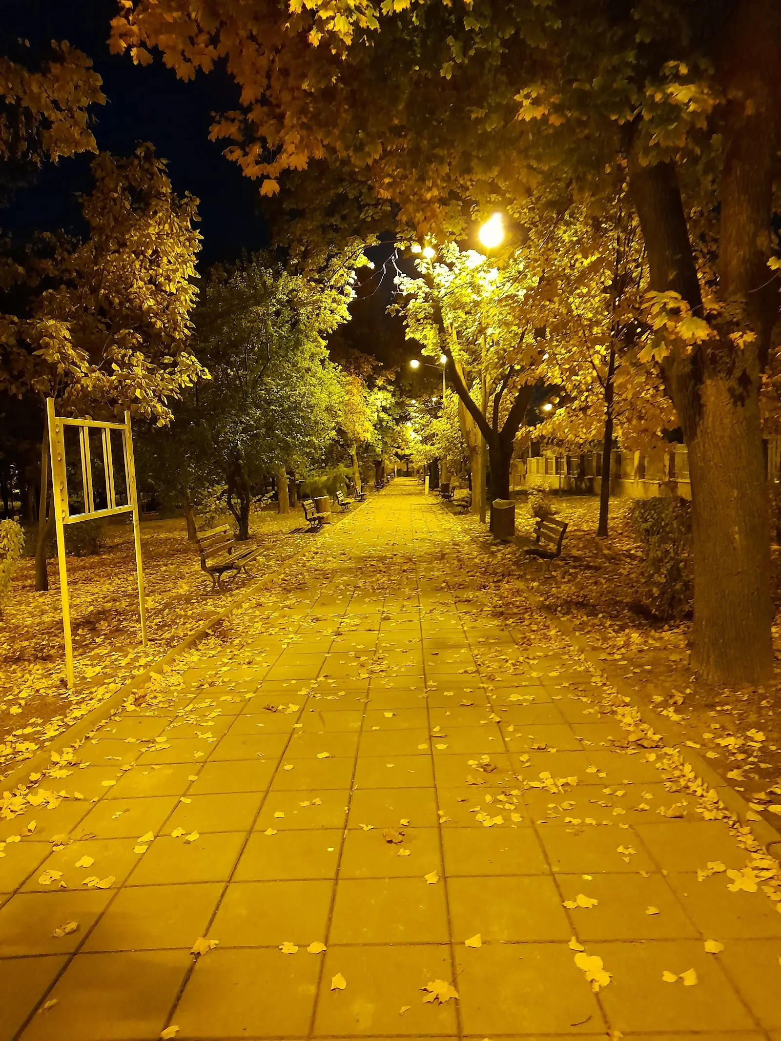 Parcul Rizer Galați 3