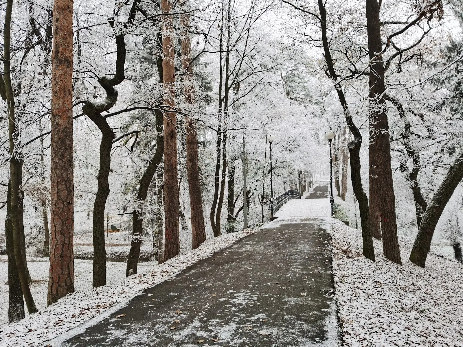 Parcul Sub Arini 3