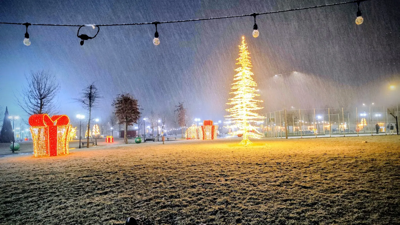 Parcul Tineretului Slatina 2
