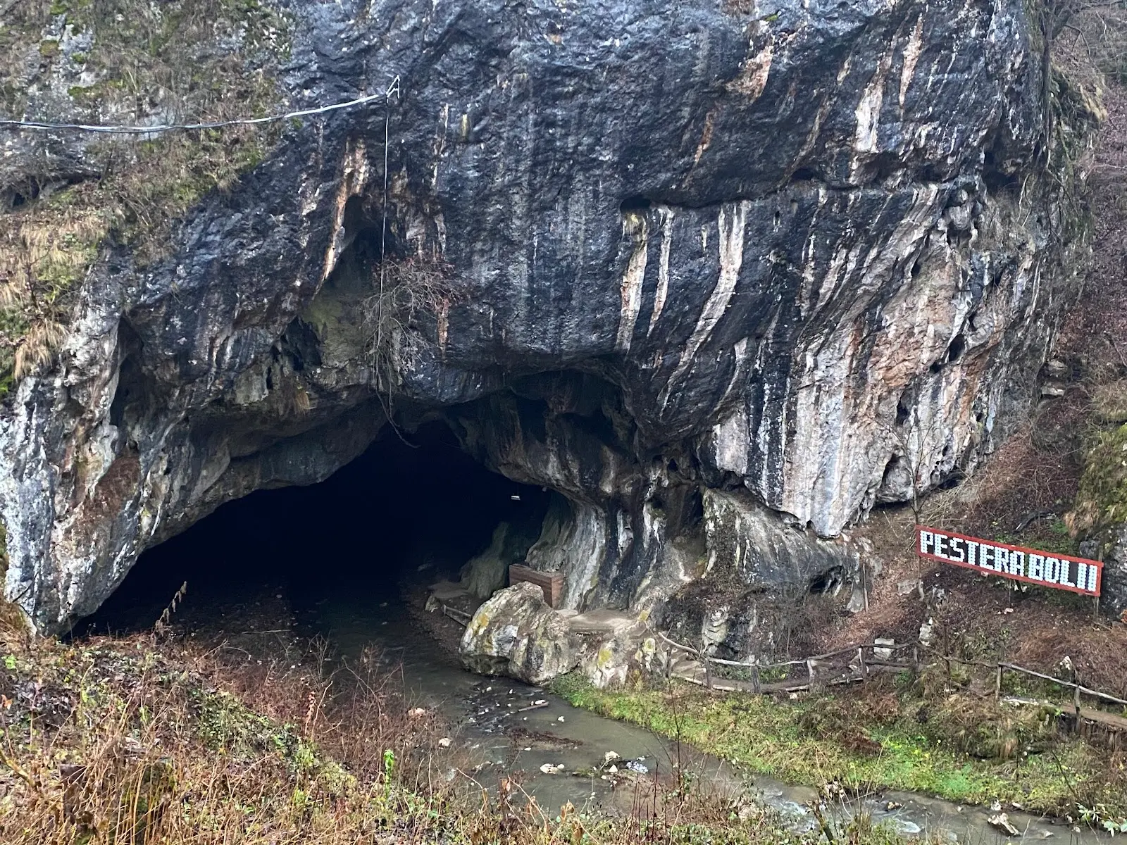 Peștera Bolii