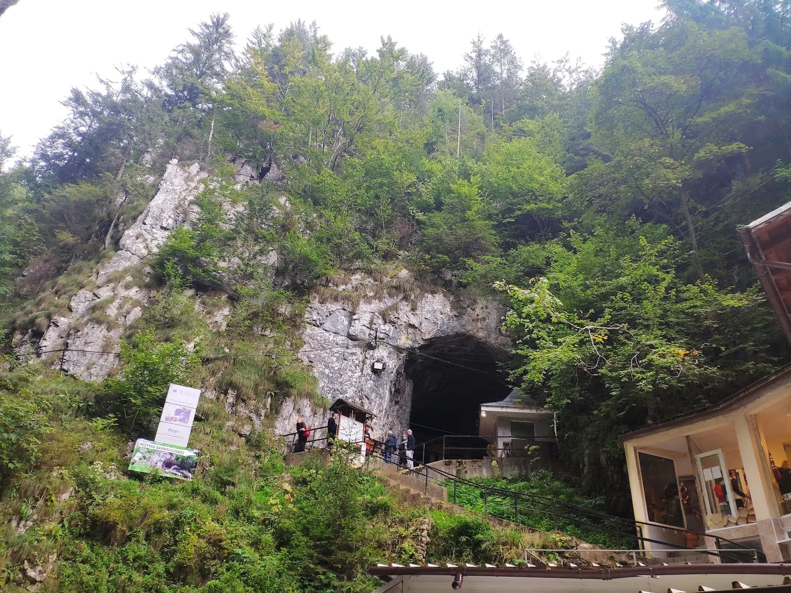 Peștera Dâmbovicioara