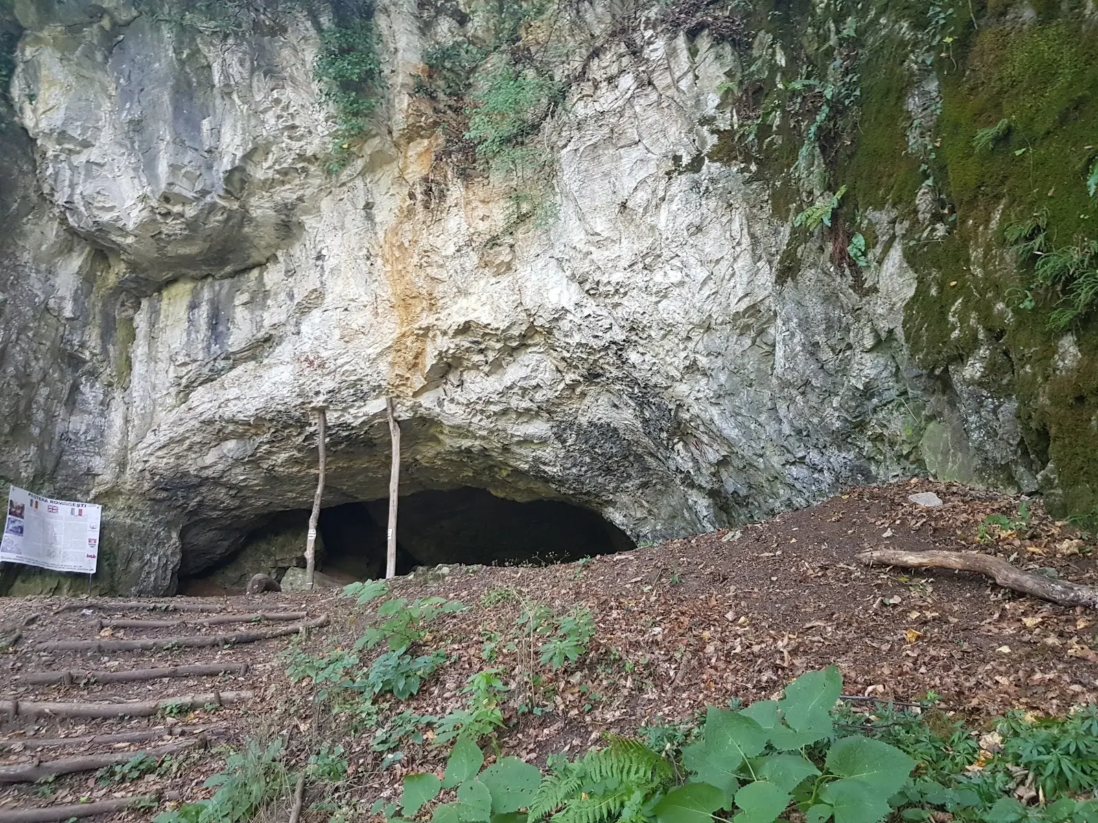 Peștera Româneşti