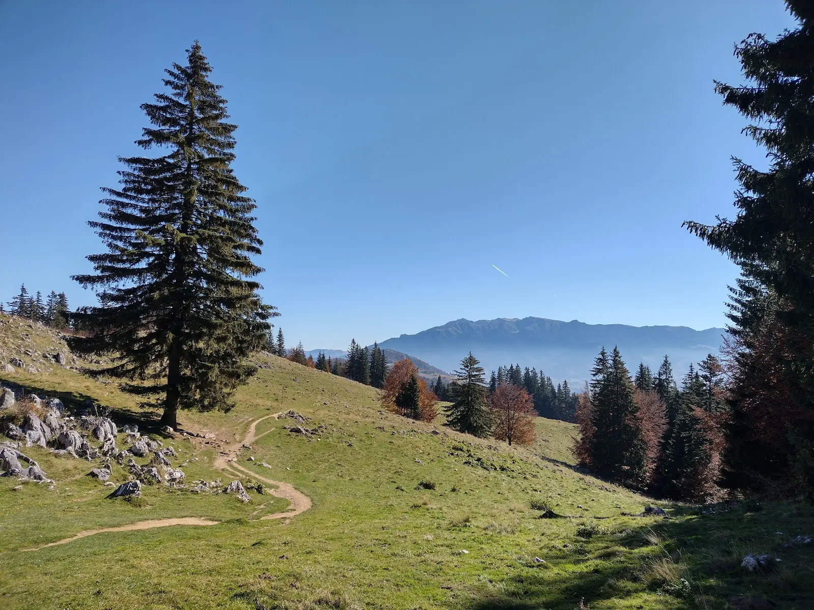 Poiana Zănoaga