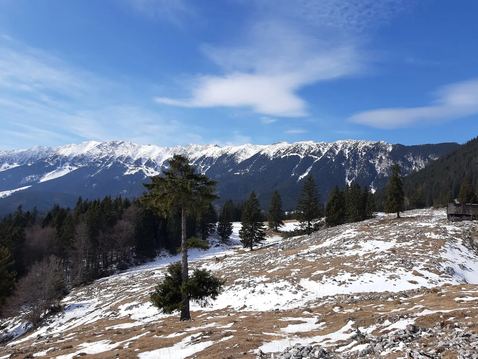 Poiana Zănoaga 2