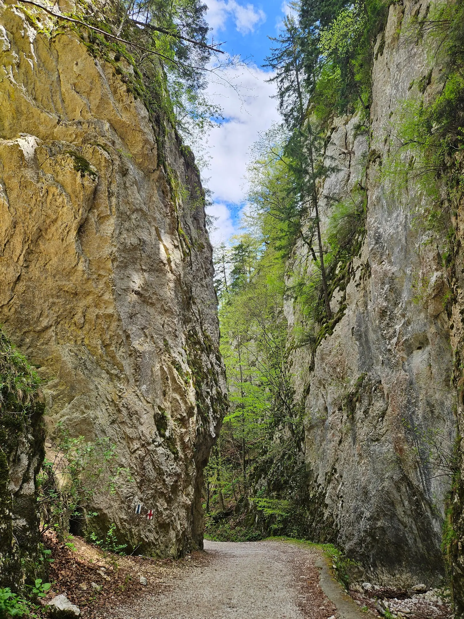 Prăpăstiile Zărneștilor (Cheile Zărneștilor)