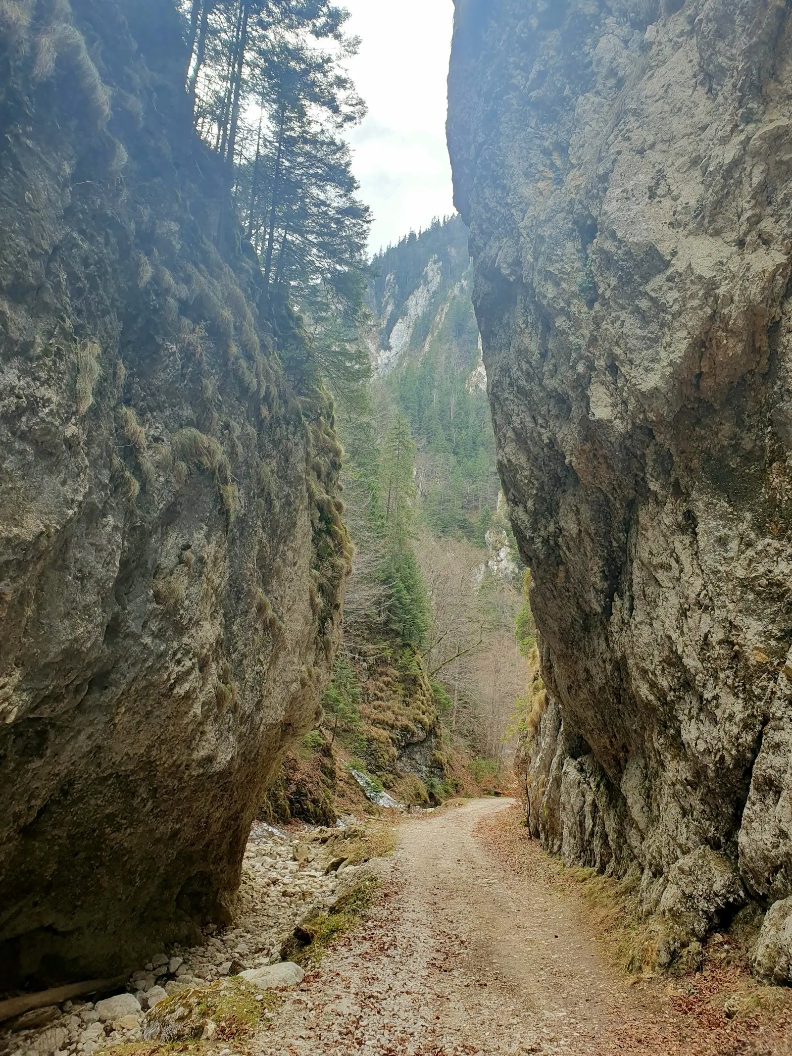 Prăpăstiile Zărneștilor (Cheile Zărneștilor) 2