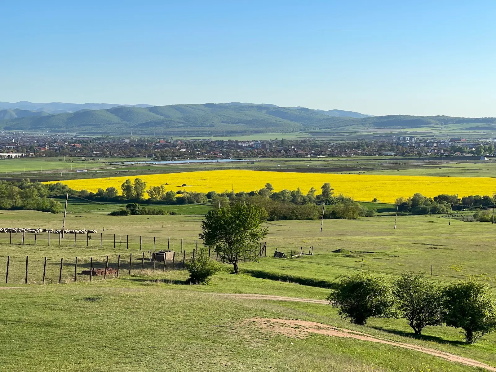 Râpa Roșie 2
