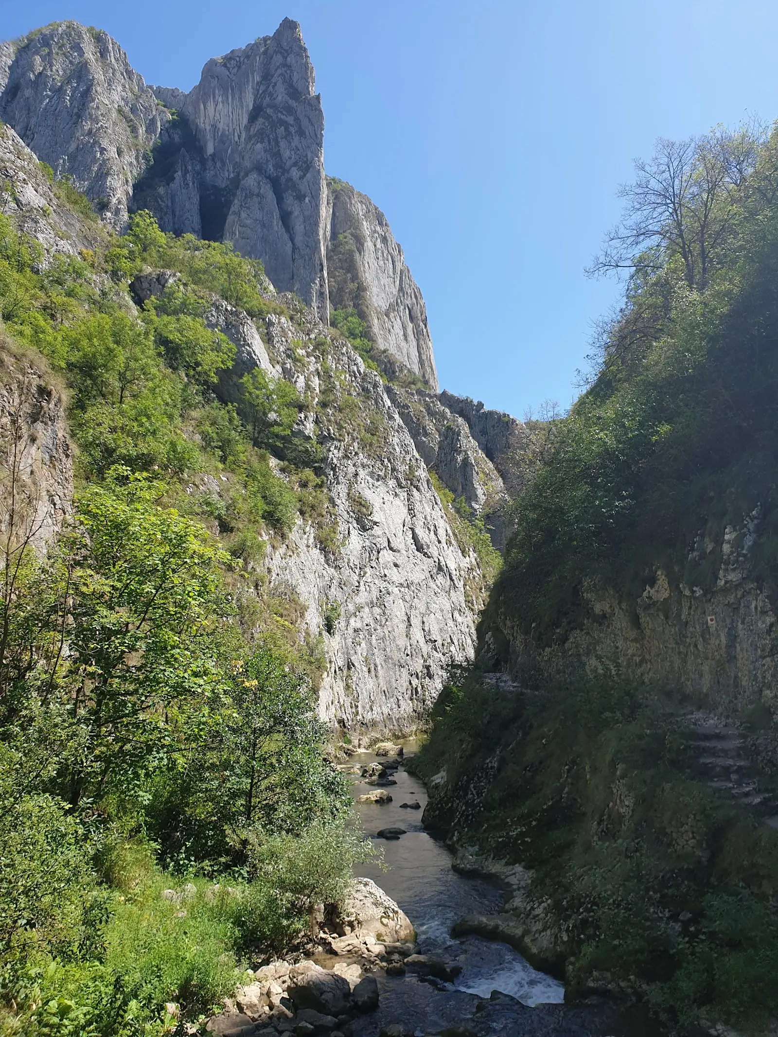 Rezervația Naturală Cheile Turzii 3