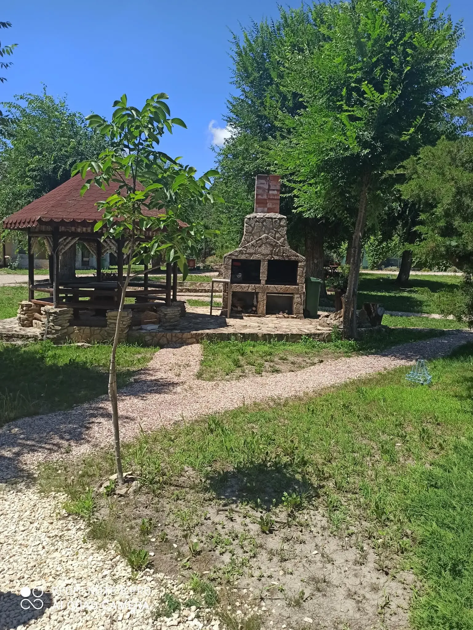 Rezervația Naturală Pădurea Comorova 2