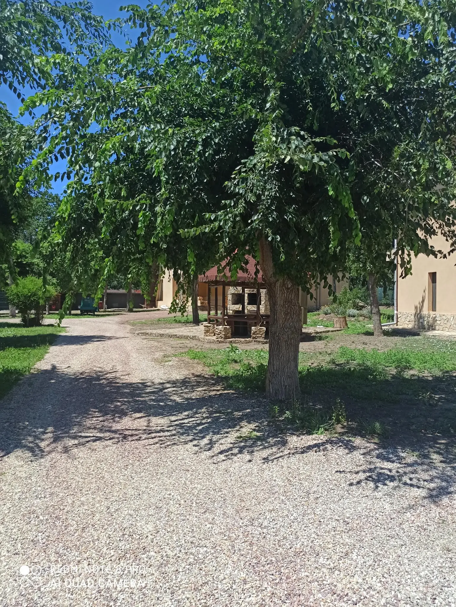 Rezervația Naturală Pădurea Comorova 3