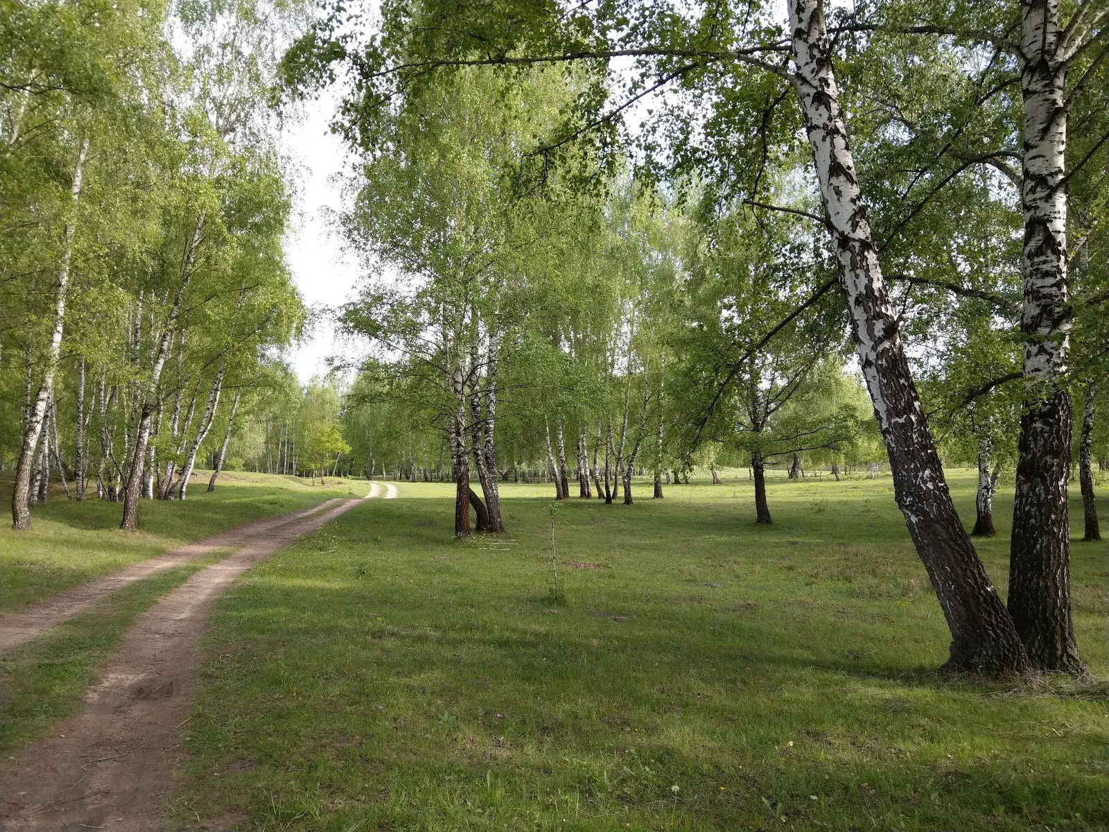 Rezervația Naturală Reci