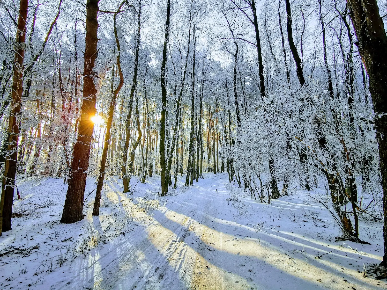 Rezervația Naturală Reci 3