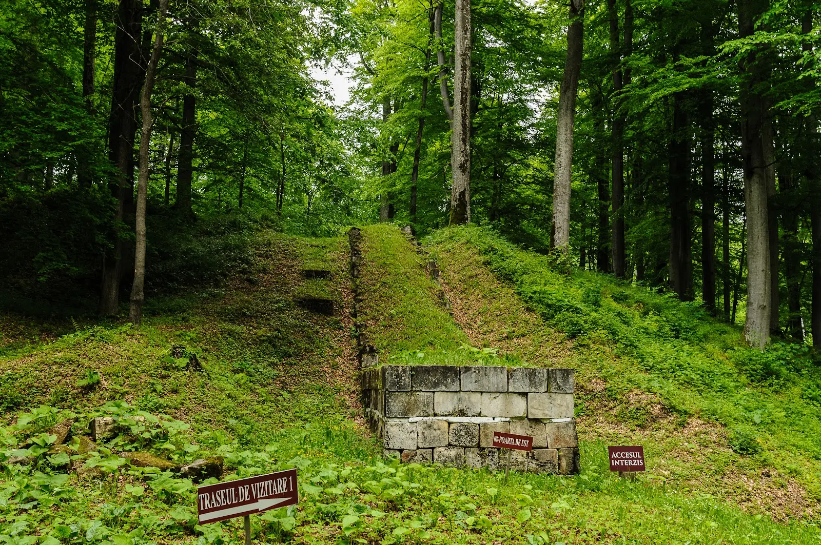 Sarmizegetusa Regia 2