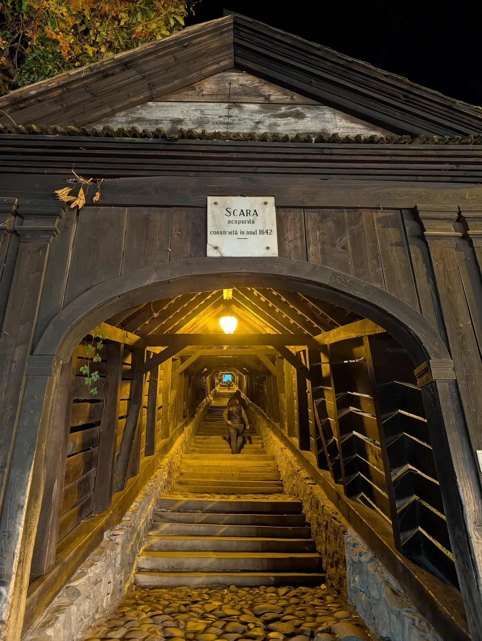 Scara Acoperită (Scara Școlarilor) 3
