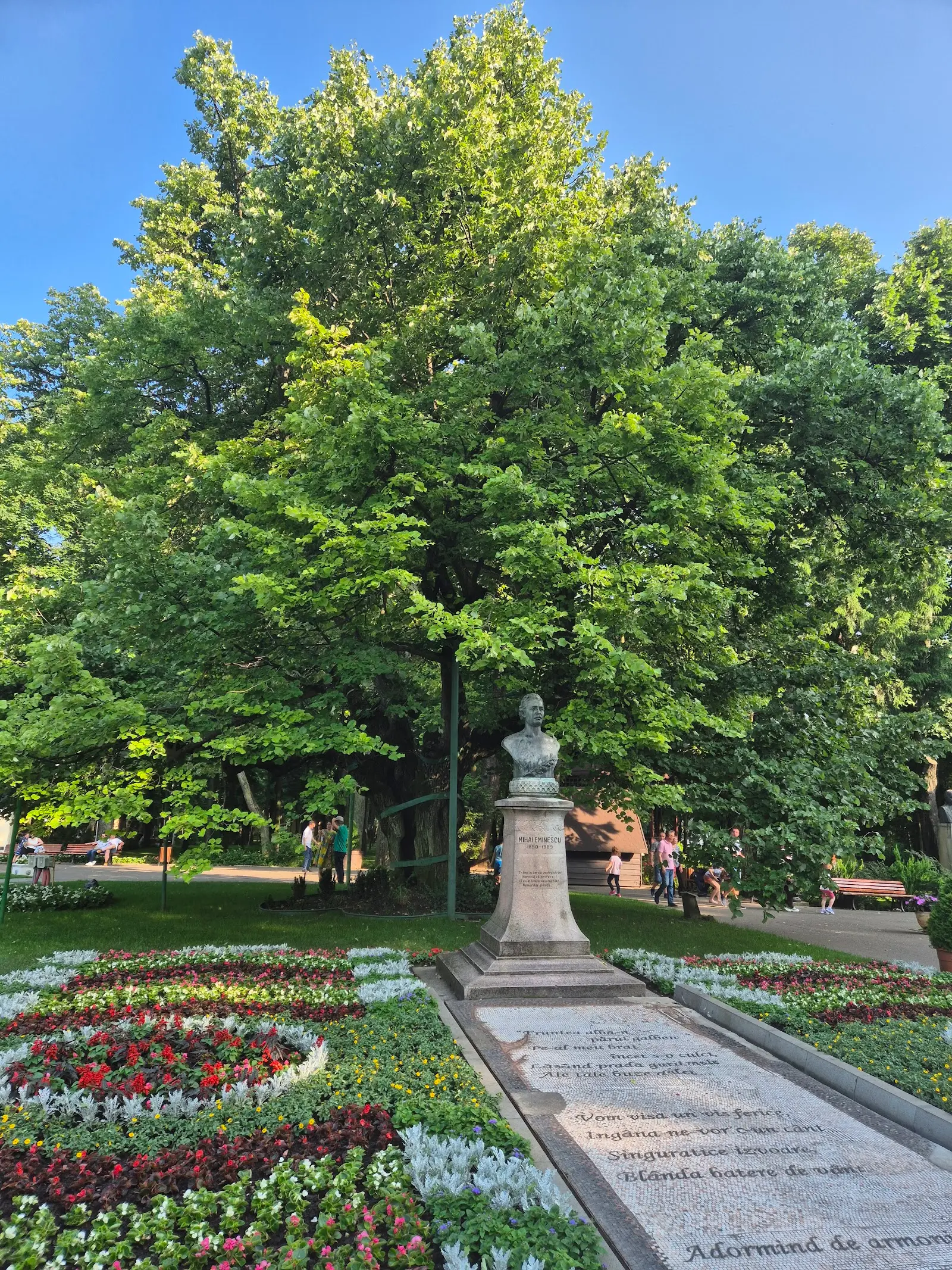 Teiul lui Eminescu (Parcul Copou) 2