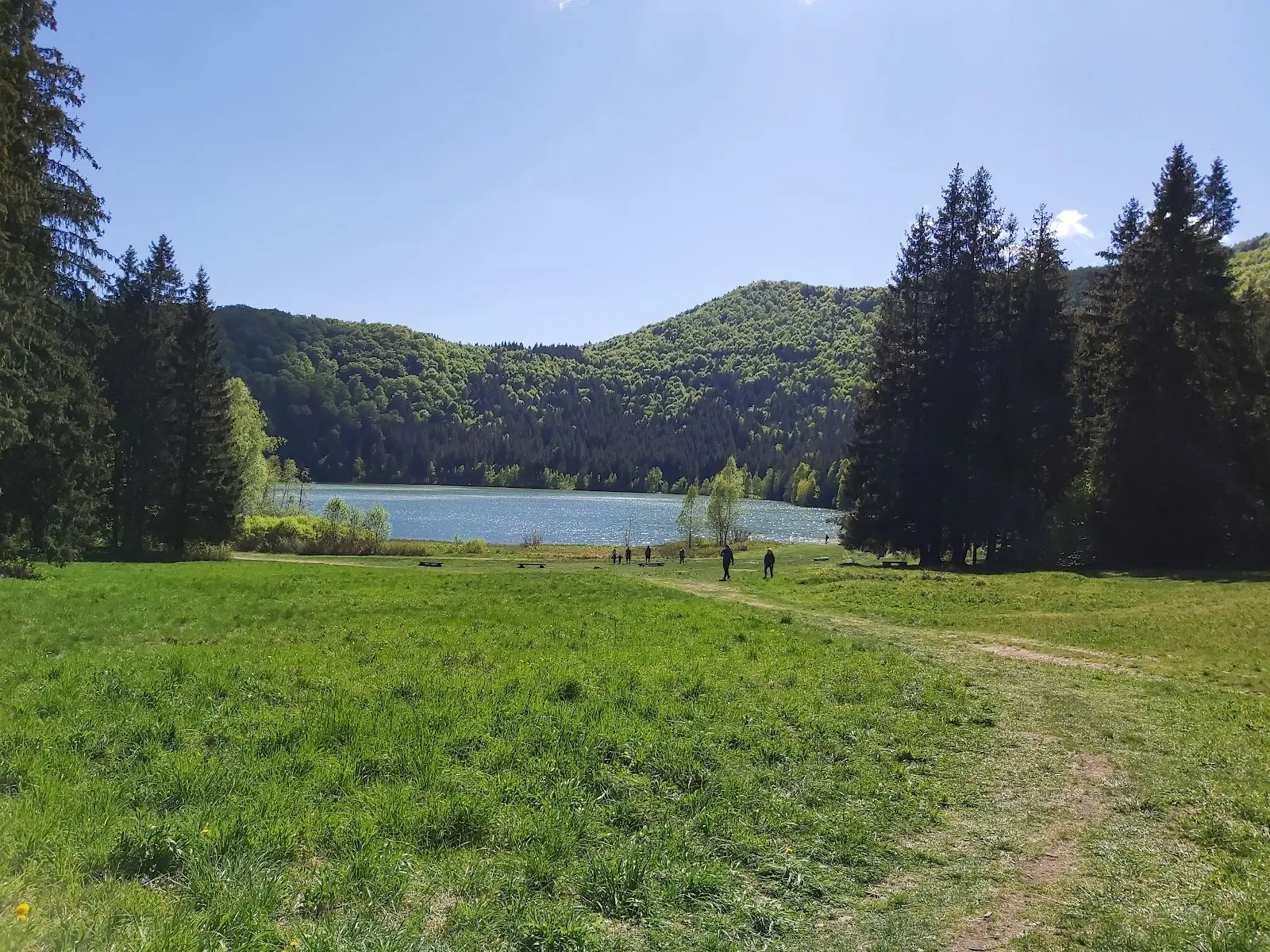 Tinovul Mohoș 3