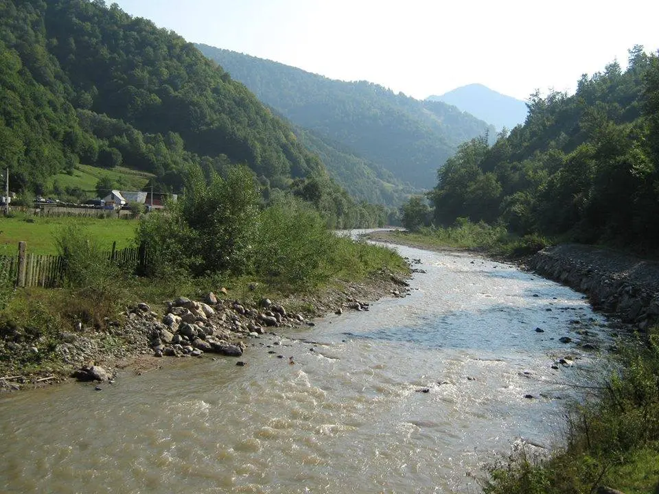 Valea Vaserului
