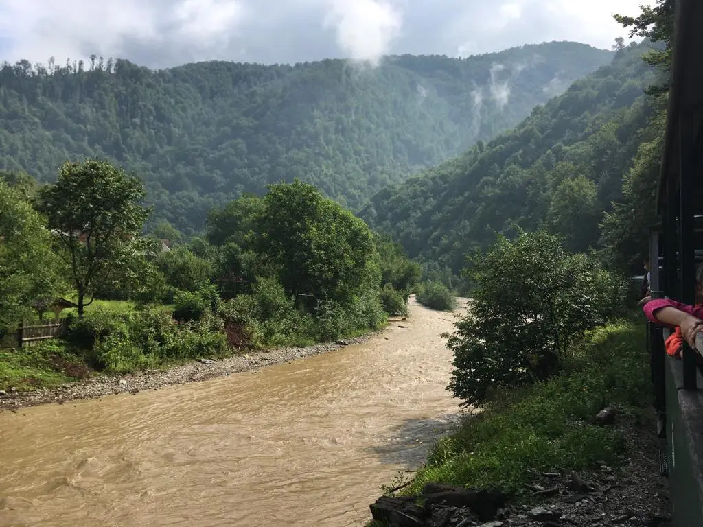 Valea Vaserului 3