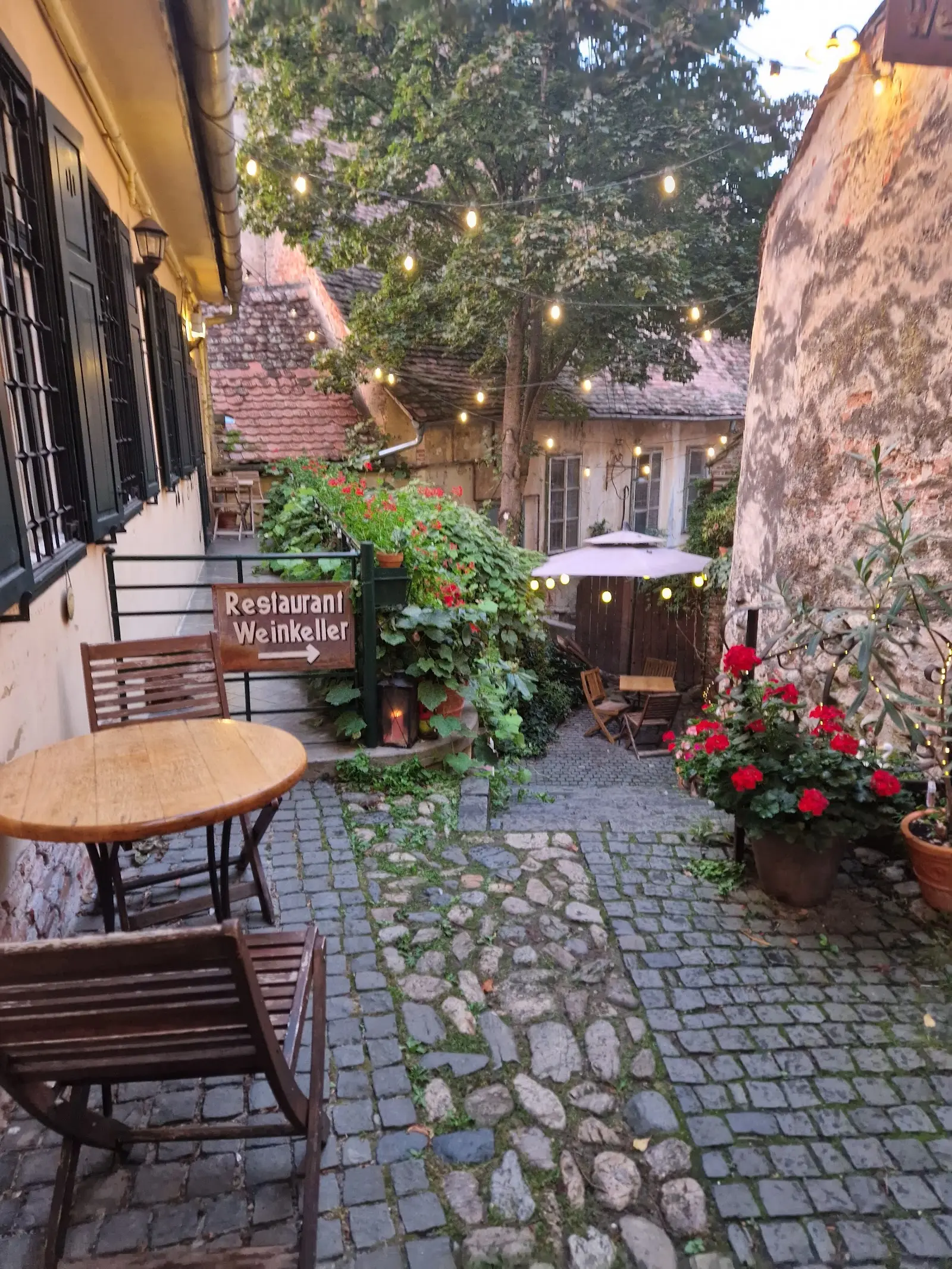 Weinkeller Sibiu